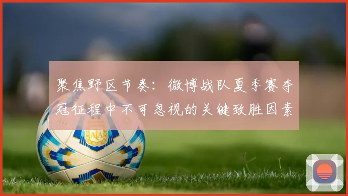 聚焦野区节奏:微博战队夏季赛夺冠征程中不可忽视的关键致胜因素