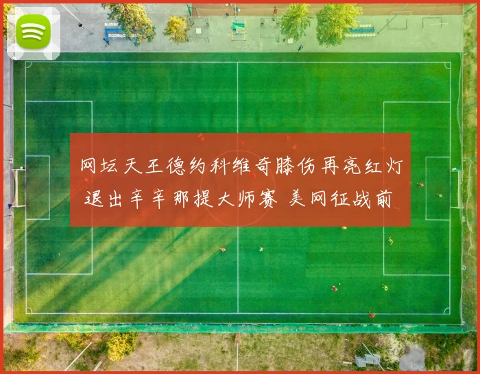 网坛天王德约科维奇膝伤再亮红灯 退出辛辛那提大师赛 美网征战前景充满变数