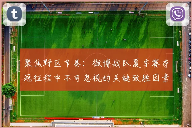 聚焦野区节奏：微博战队夏季赛夺冠征程中不可忽视的关键致胜因素