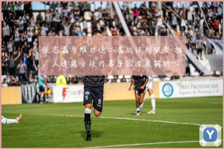 张志磊与维尔德二番战谈判破裂 推广人透露分歧内幕原因深度解析