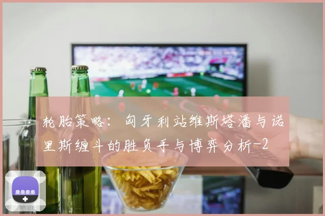 轮胎策略：匈牙利站维斯塔潘与诺里斯缠斗的胜负手与博弈分析