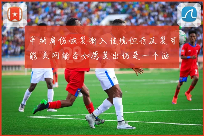 辛纳肩伤恢复渐入佳境但存反复可能 美网能否如愿复出仍是一个谜
