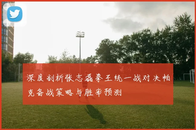 深度剖析张志磊拳王统一战对决帕克备战策略与胜率预测