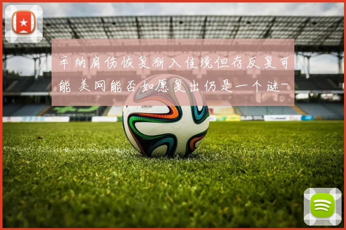辛纳肩伤恢复渐入佳境但存反复可能 美网能否如愿复出仍是一个谜